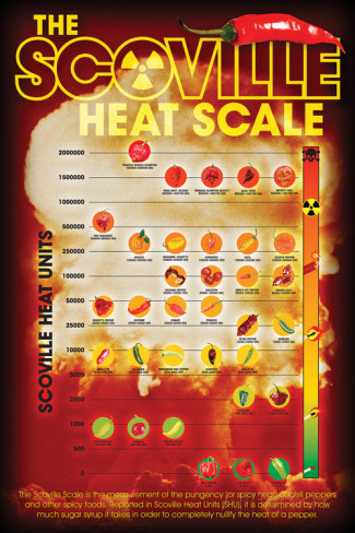 Poster "The Scoville Heating Index